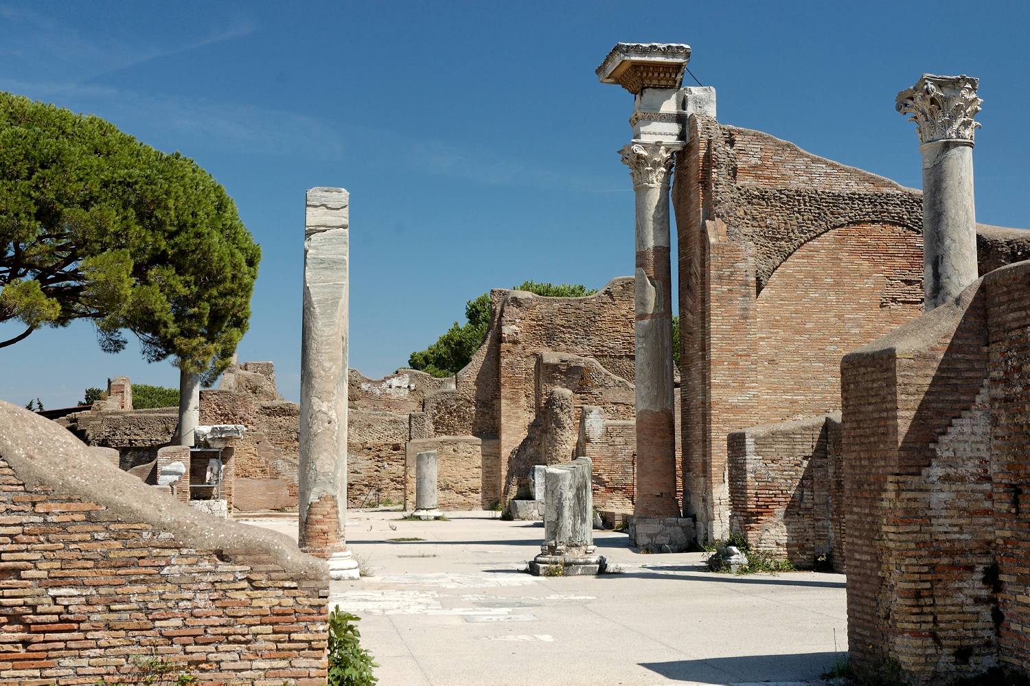 Private Chef in Acilia Castel Fusano Ostia Antica Private Chef in Acilia Castel Fusano Ostia Antica header