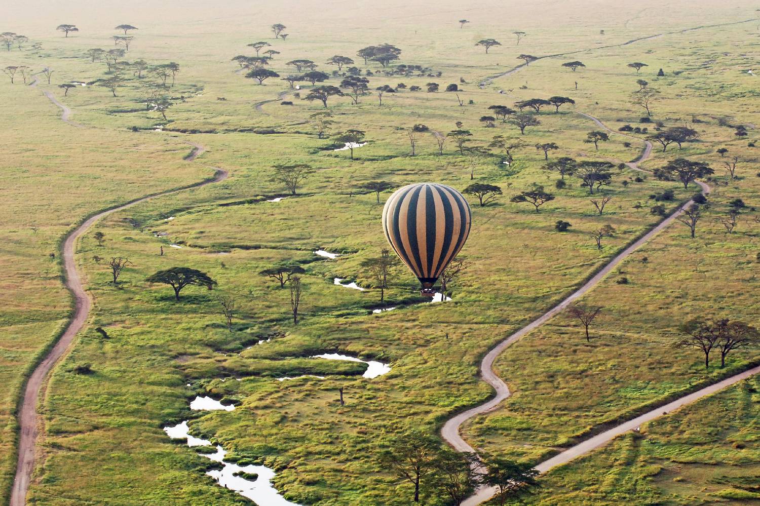 Private Chef in Mara Region Private Chef in Mara Region header