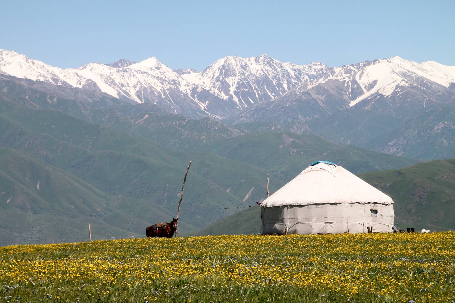 Private Chef in Almaty Oblysy Private Chef in Almaty Oblysy header