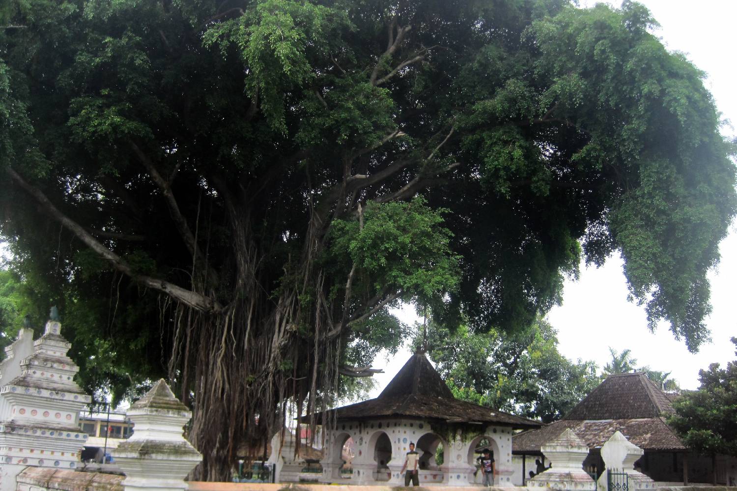 Private Chef in Kabupaten Batang Hari Private Chef in Kabupaten Batang Hari header