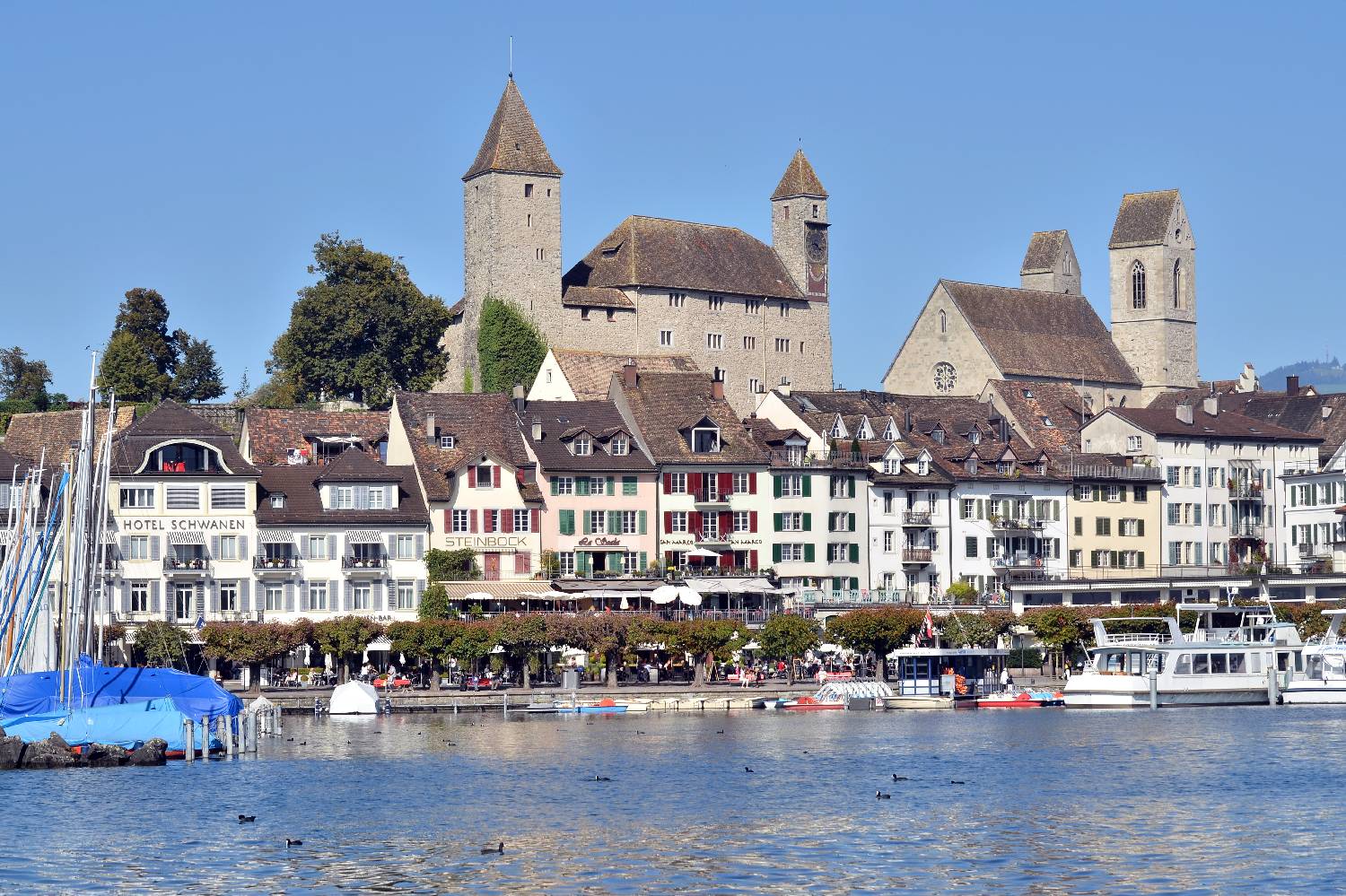Private Chef in Rapperswil Private Chef in Rapperswil header