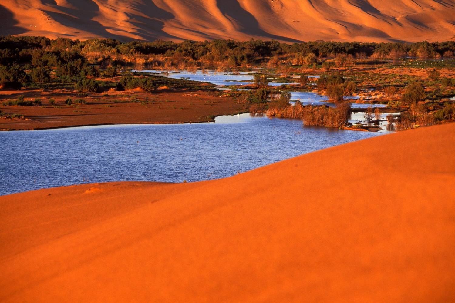 Private Chef in Laayoune Private Chef in Laayoune header