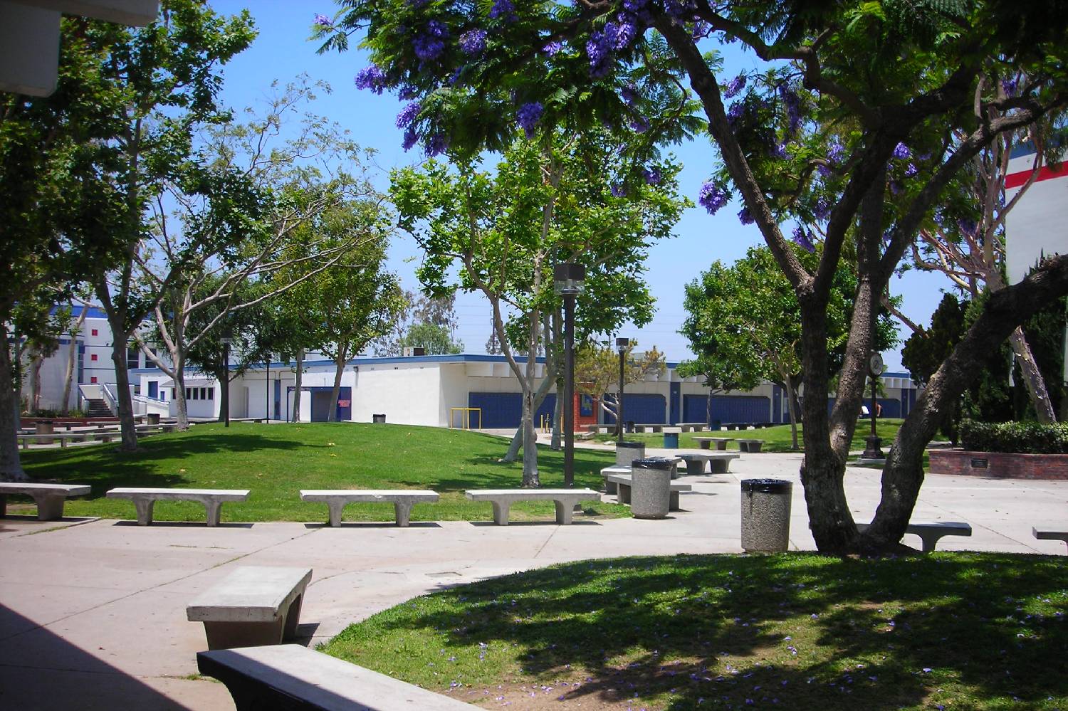Private Chef in Los Alamitos Private Chef in Los Alamitos header