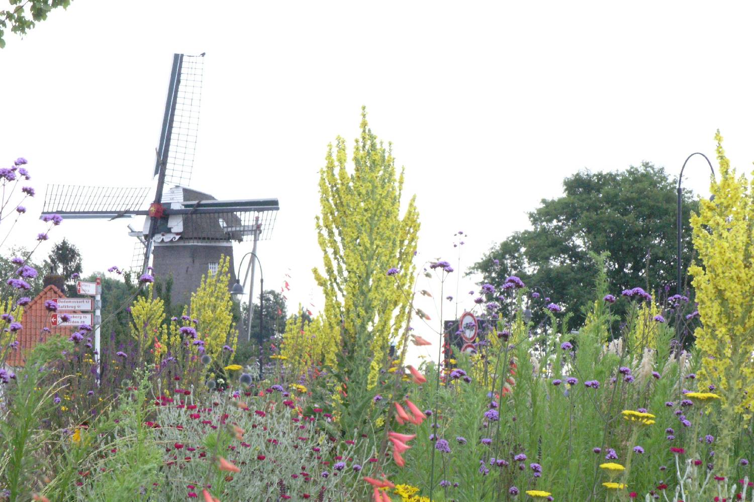 Private Chef in Gemeente Ommen Private Chef in Gemeente Ommen header