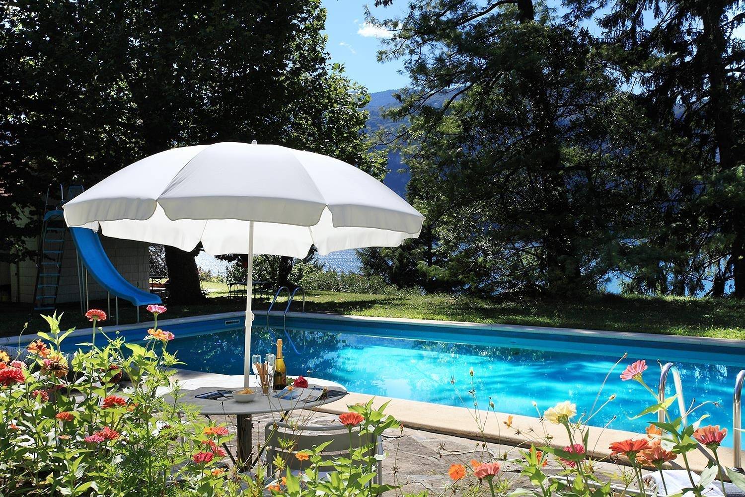 View of pool with trees from villa – takeachef