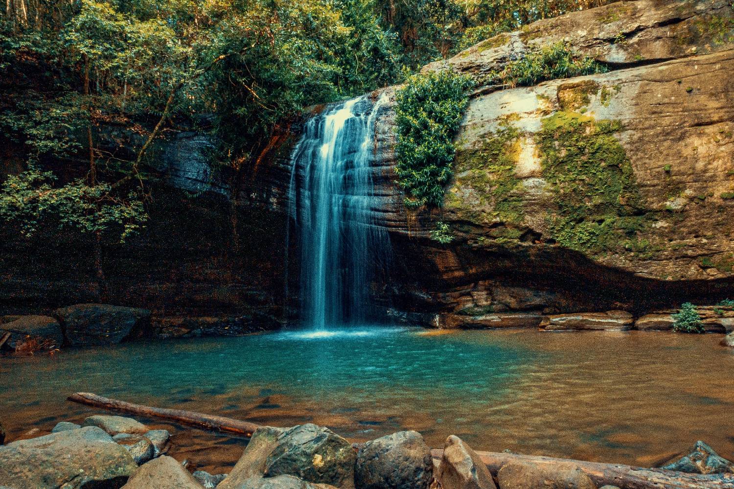 Private Chef in Buderim Private Chef in Buderim header