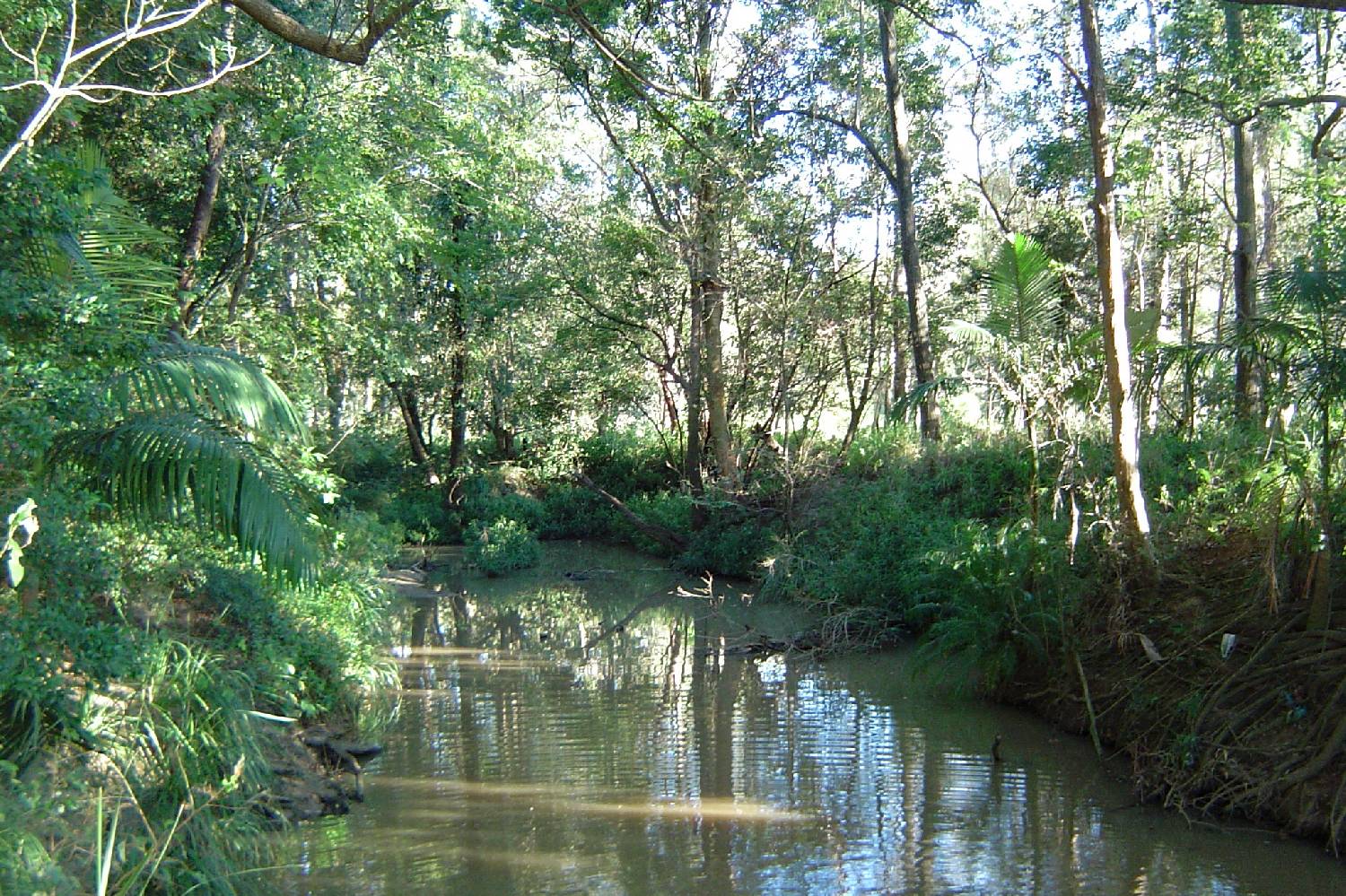 Private Chef in Carindale Private Chef in Carindale header