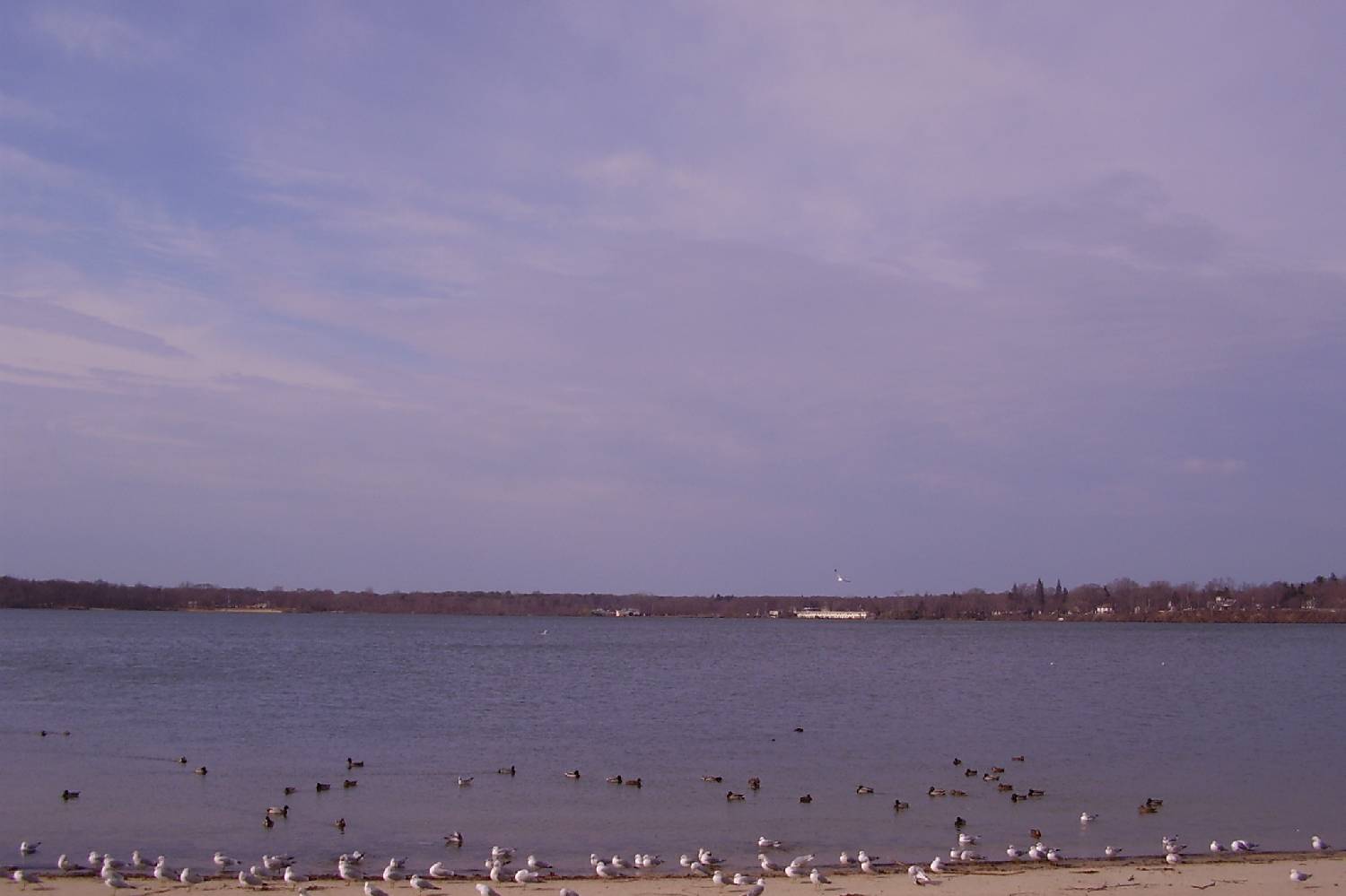 Private Chef in Lake Ronkonkoma Private Chef in Lake Ronkonkoma header