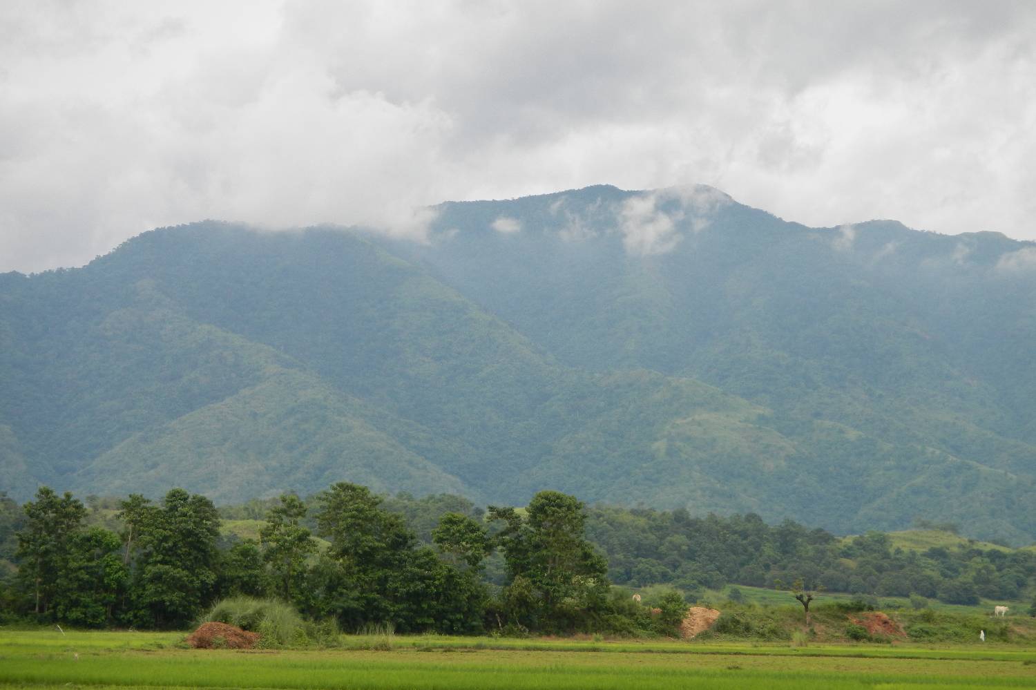 Private Chef in Central Luzon Private Chef in Central Luzon header