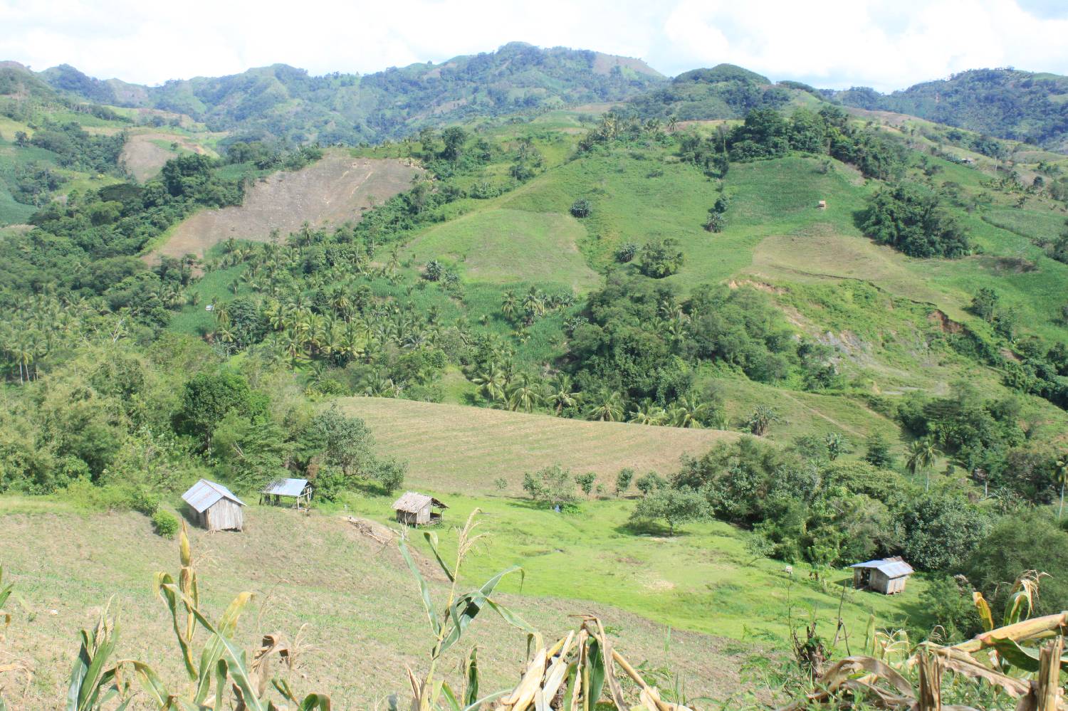 Private Chef in Province of Cotabato Private Chef in Province of Cotabato header