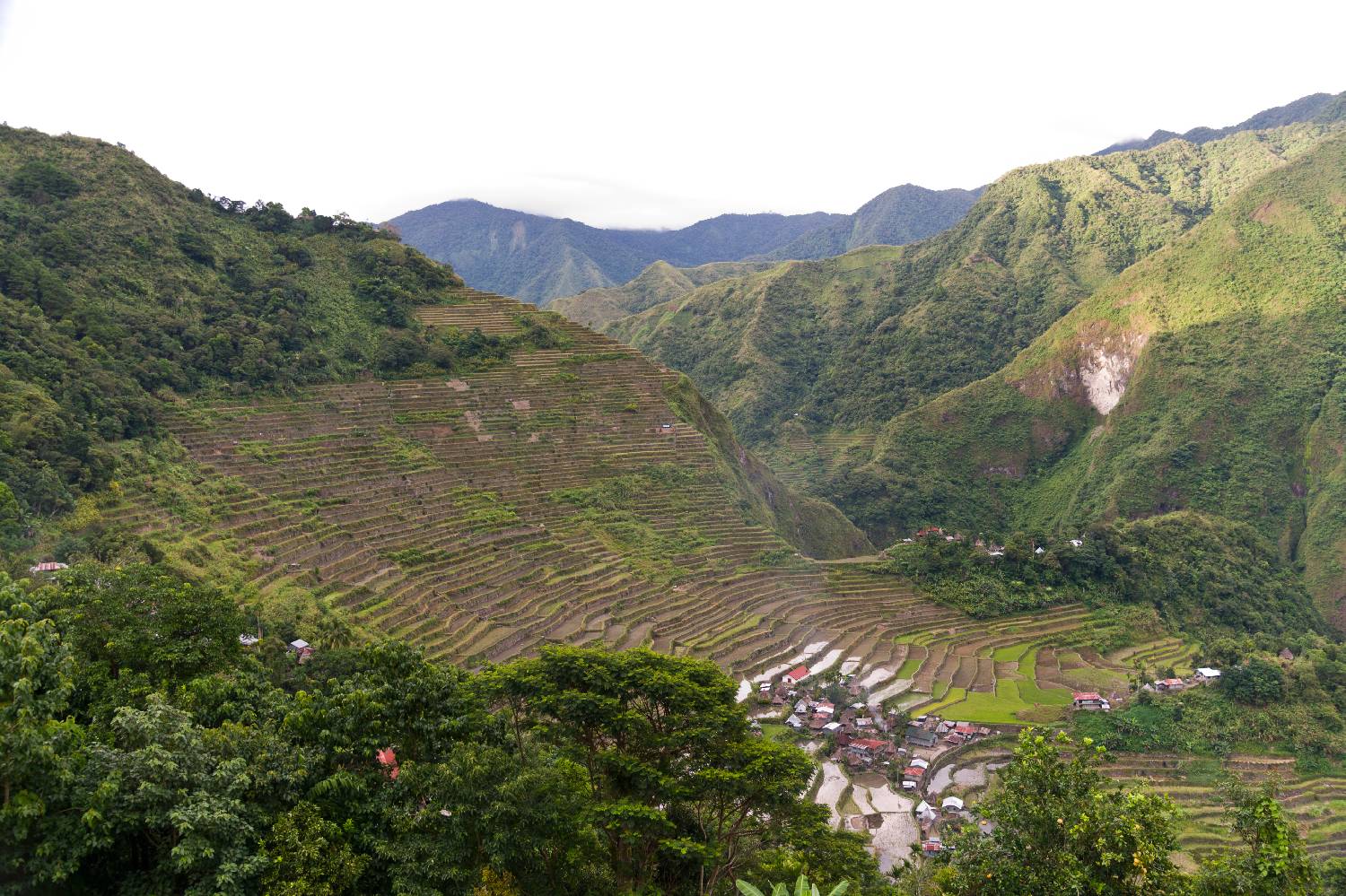 Private Chef in Cordillera Administrative Region Private Chef in Cordillera Administrative Region header