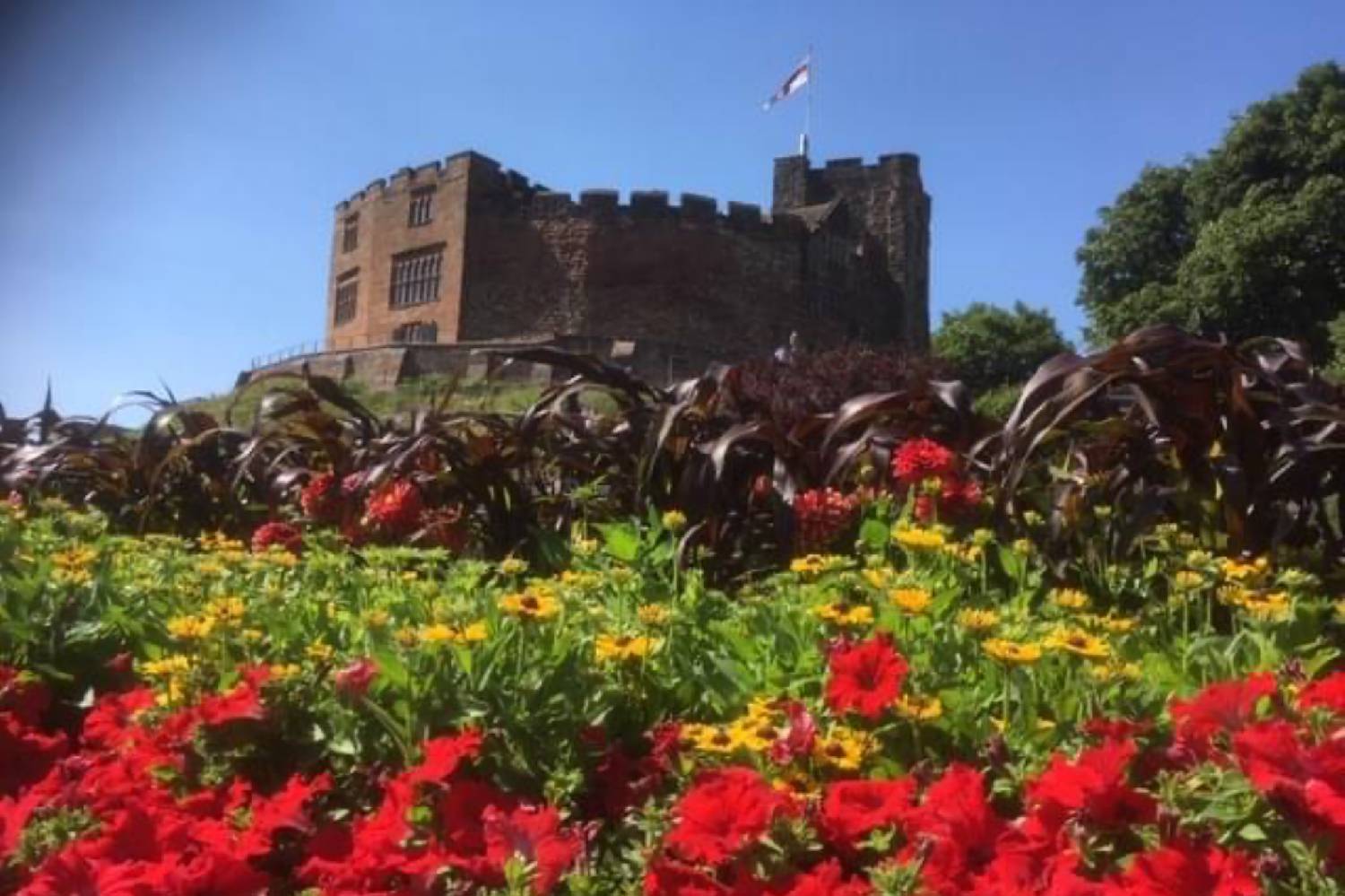 Private Chef in Tamworth Private Chef in Tamworth header