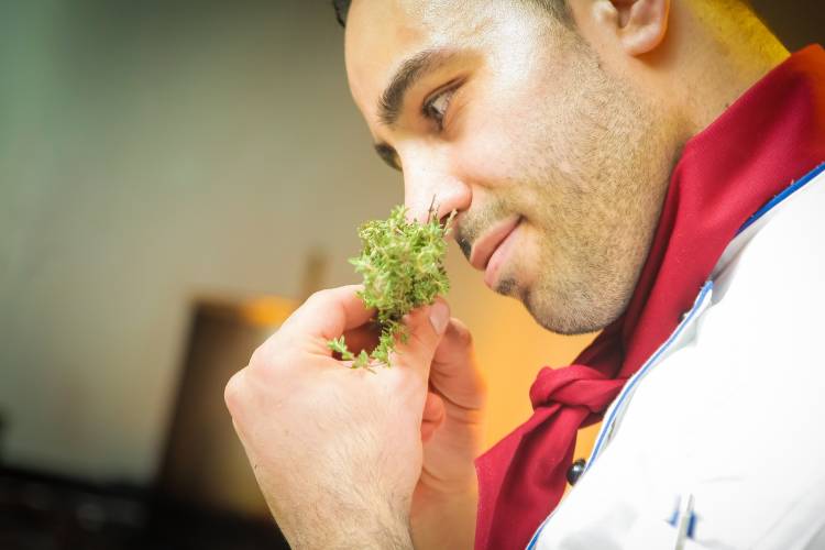Private Chef cooking in Pine Bluff Our Private Chef in Pine Bluff