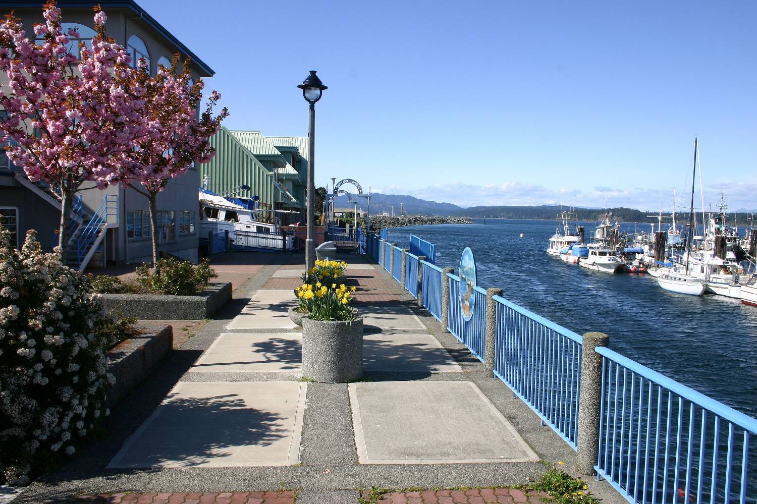 Private Chef in Campbell River Private Chef in Campbell River header