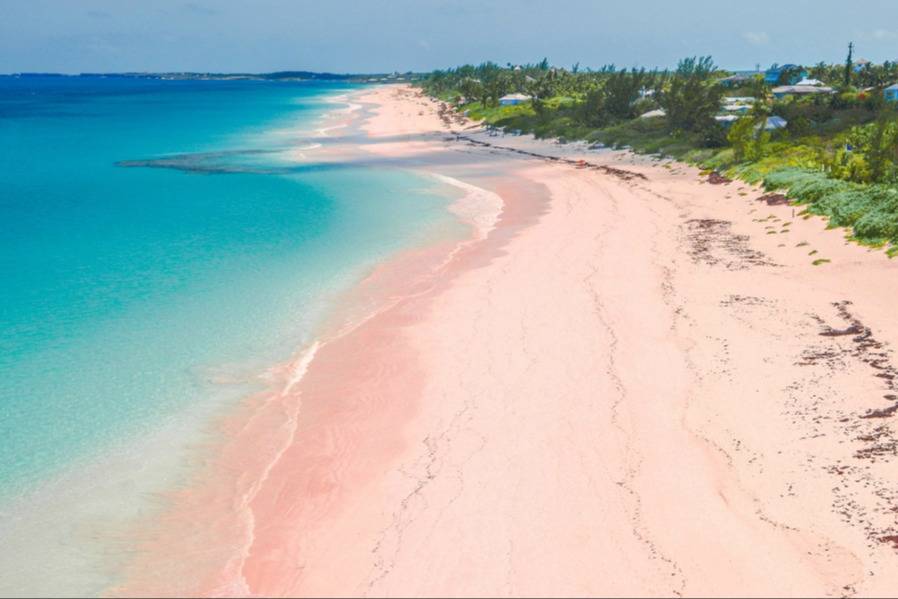Beautiful views of Harbour Island´s beach Beautiful views of Harbour Island´s beach - Take a Chef