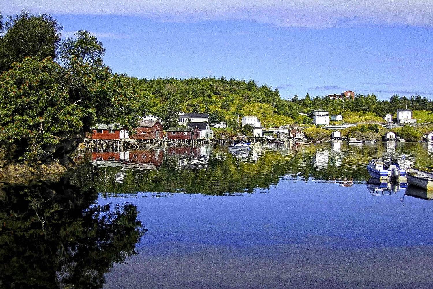 Private Chef in Clarenville Shoal Harbour Private Chef in Clarenville Shoal Harbour header