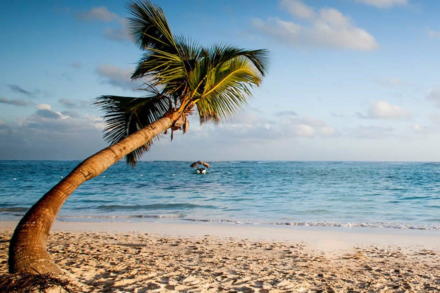 Atardecer en Punta Cana Chef a Domicilio en Punta Cana header
