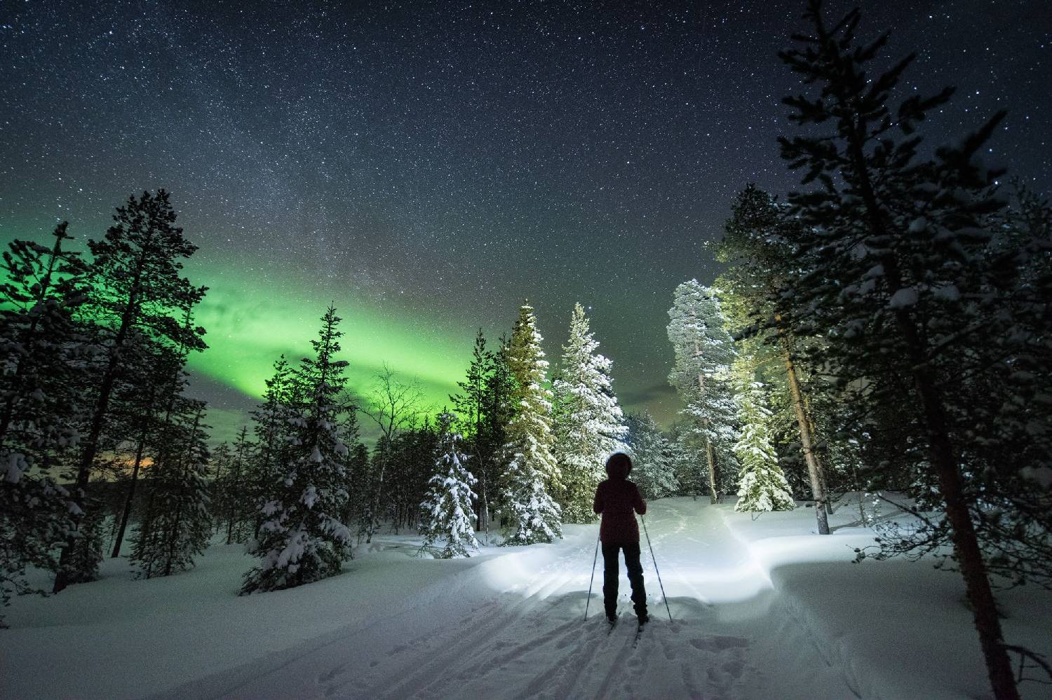 Private Chef in Lapland Private Chef in Lapland header