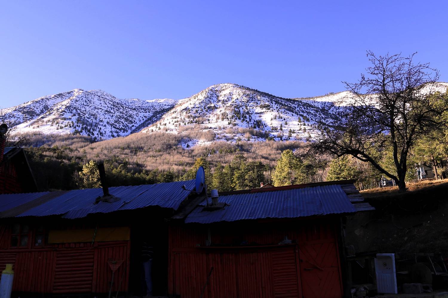 Chef a Domicilio en Rayones Chef a Domicilio en Rayones header