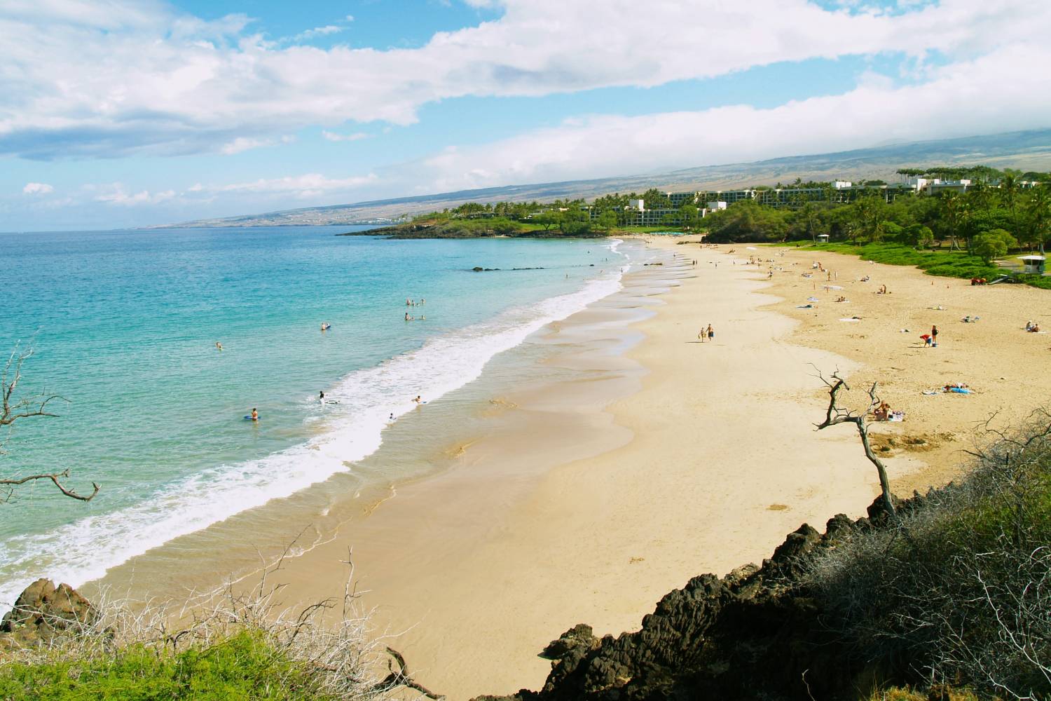Kohala Coast beach - Take a Chef Looking for an special way to celebrate any occassion? Treat yourself to a Private Chef anywhere in Kohala Coast - Take a Chef, header
