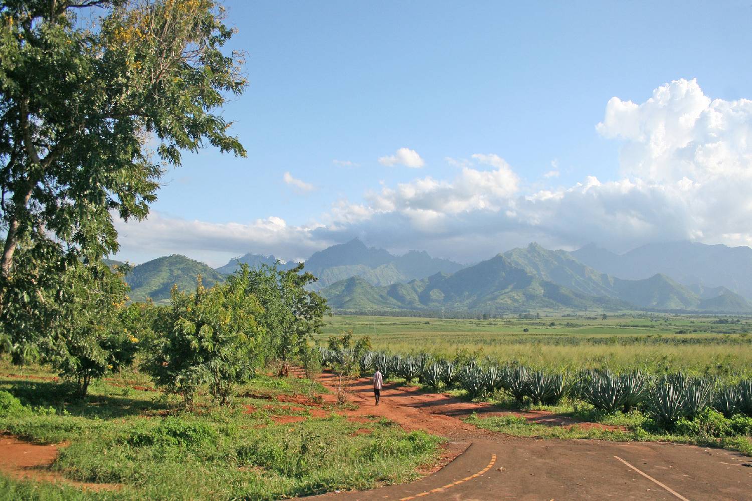 Private Chef in Mvomero Private Chef in Mvomero header