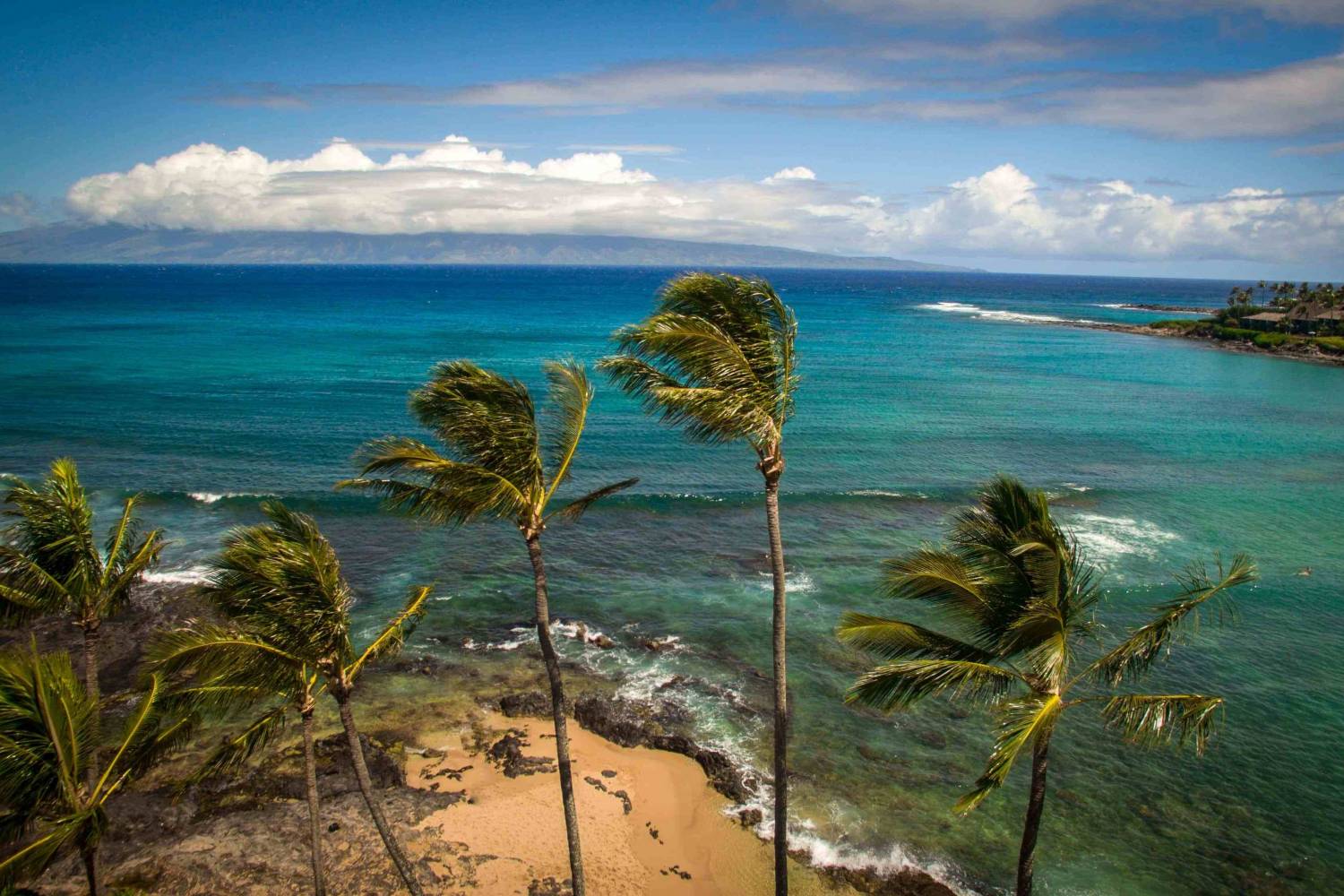 Napili beach view - Take a Chef Best private chef selection in Napili-Honokowai - Take a Chef, header