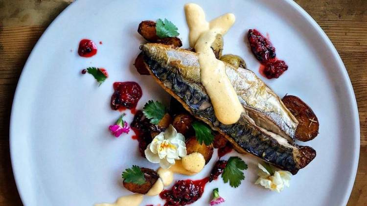 An outstanding dish cooked by Private Chef in Danville Dish cooked by a Private Chef in Danville