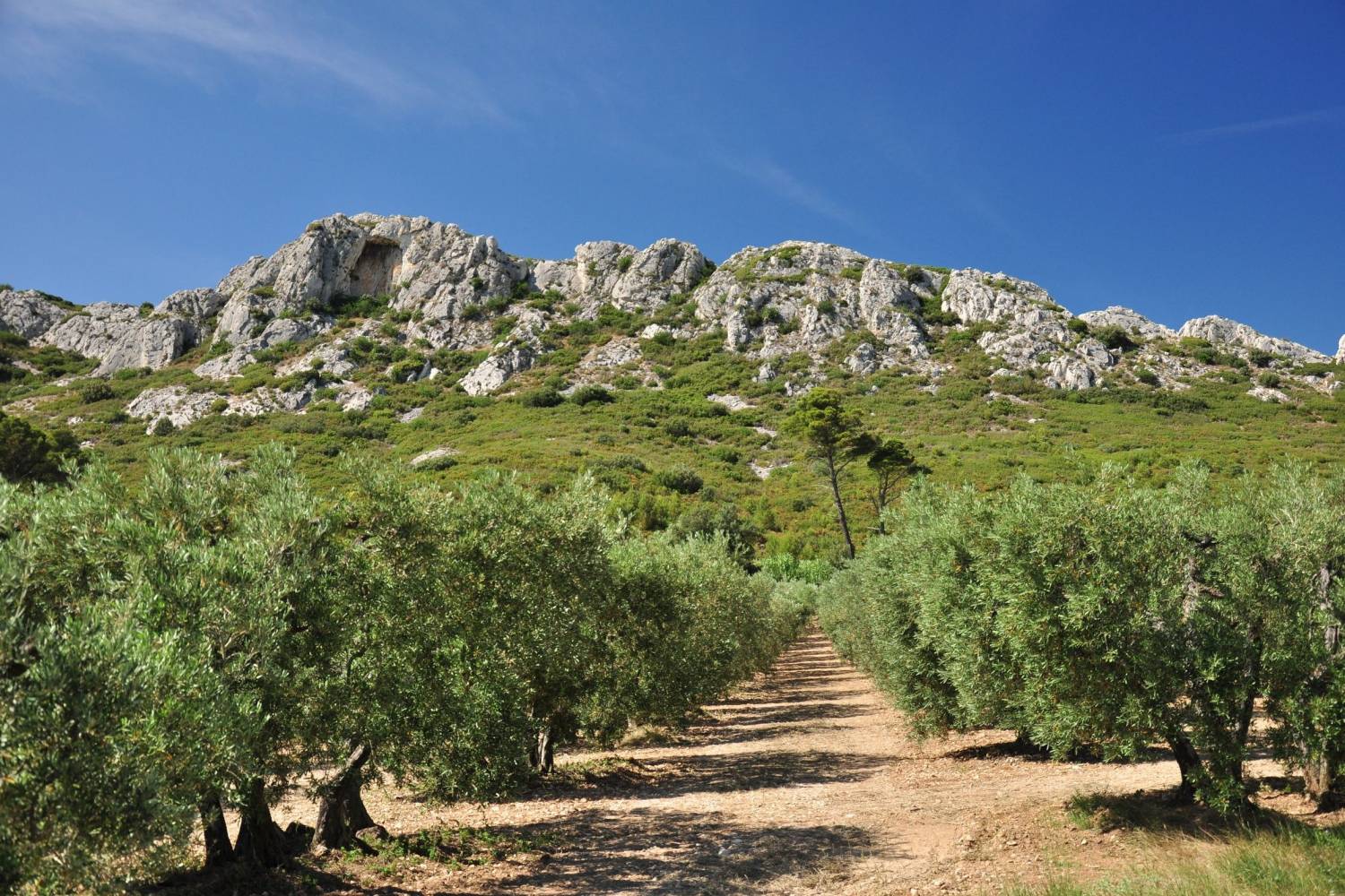 Beautiful view in the Alpilles - Take a Chef