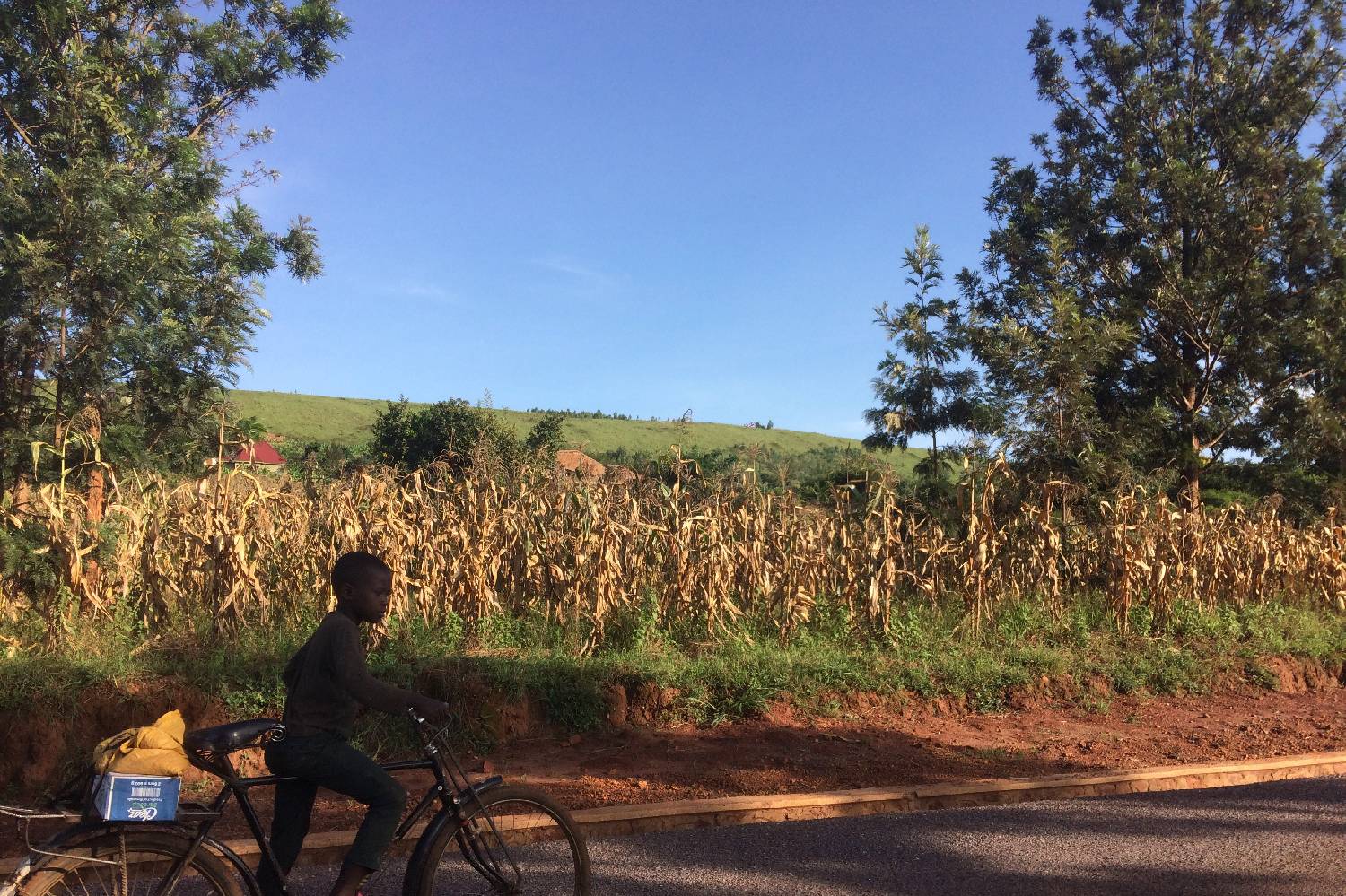 Private Chef in Ngoma District Private Chef in Ngoma District header
