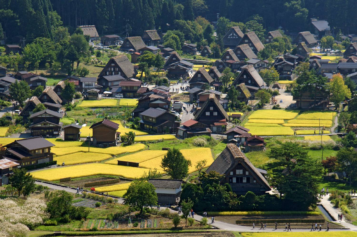 Private Chef in Gifu Private Chef in Gifu header