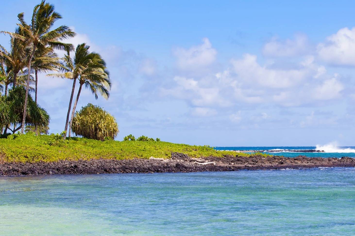Enjoy the best Personal Chefs of Poipu at home Book a Personal Chef in Poipu for your holidays