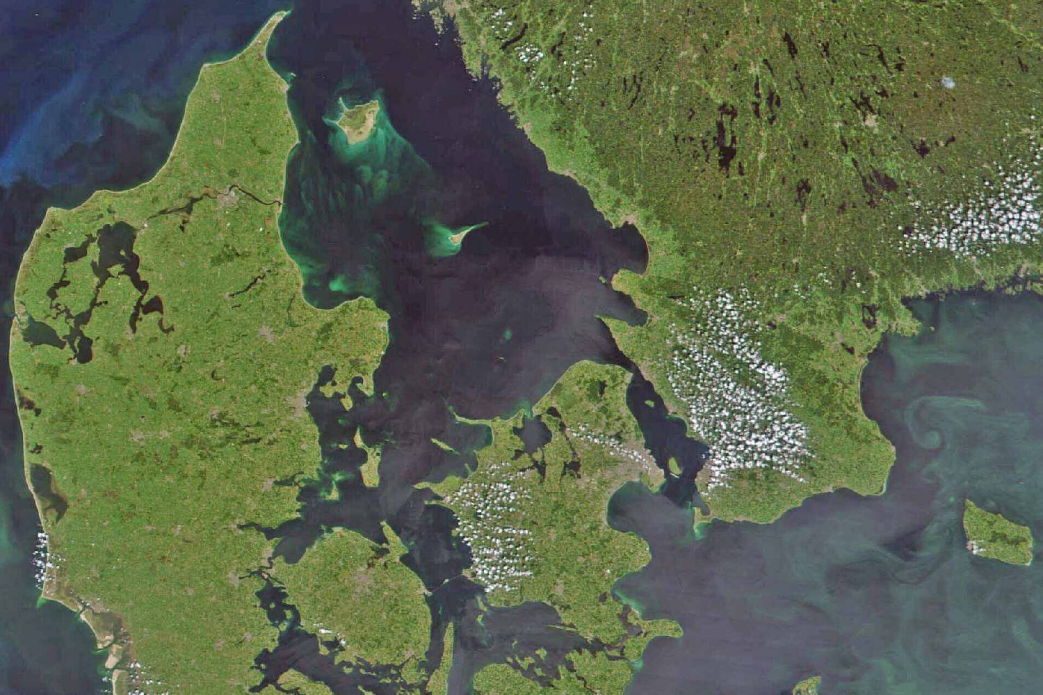 Private Chef in North Denmark Private Chef in North Denmark header