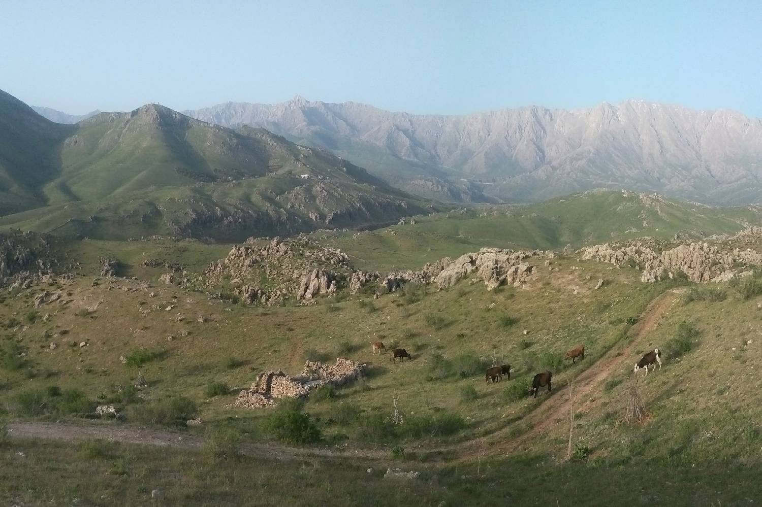Private Chef in Kermanshah Private Chef in Kermanshah header