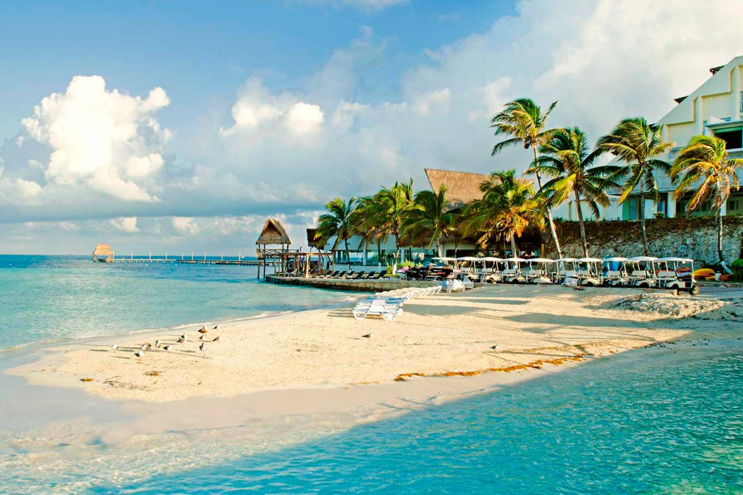 Isla Mujeres - Take a Chef Chef a Domicilio en Isla Mujeres header