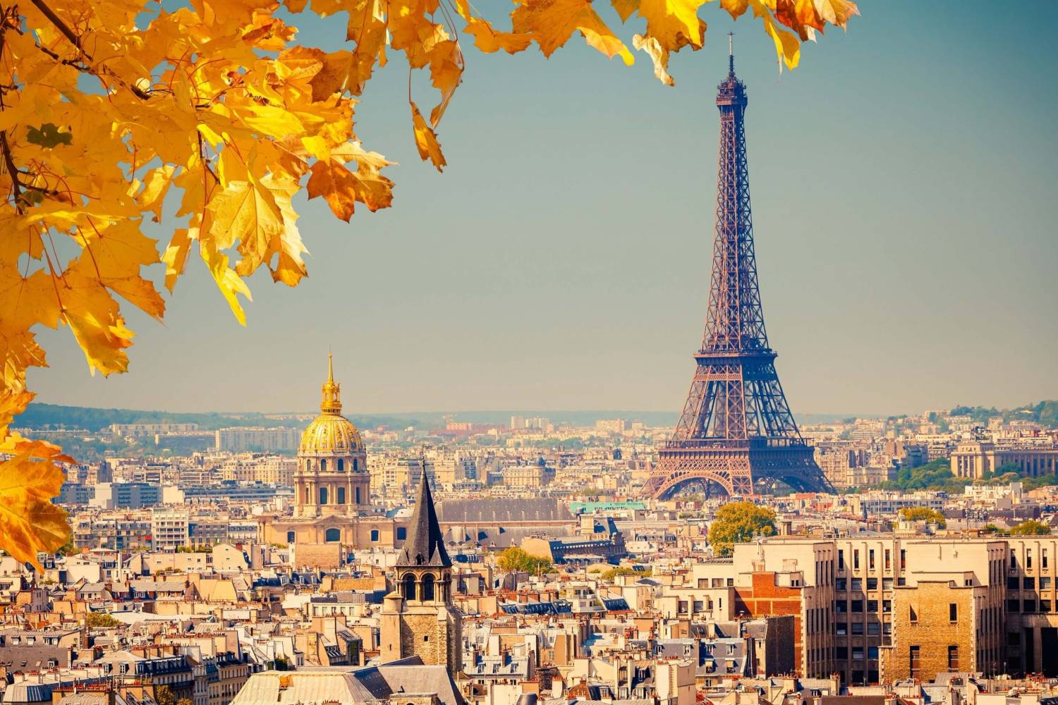 Profitez d'un chef à domicile après une journée incroyable à Paris Profitez d'un chef à domicile après une journée incroyable à Paris - Take a Chef