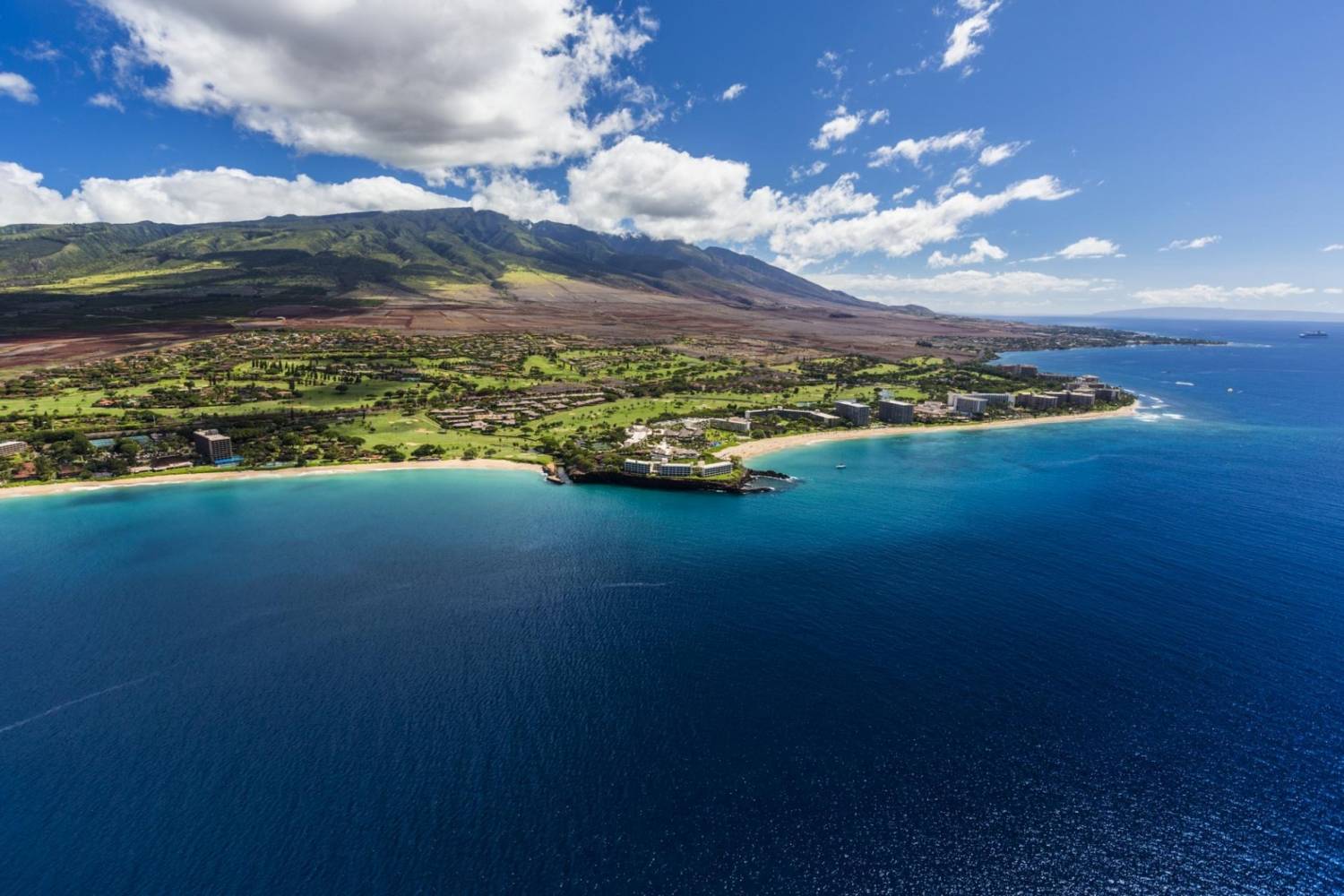Enjoy the best Personal Chefs of Ka Anapali at home Book a Personal Chef in Ka Anapali for your holidays