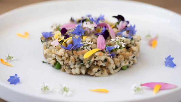 Dish cooked by a Private Chef in Fall River