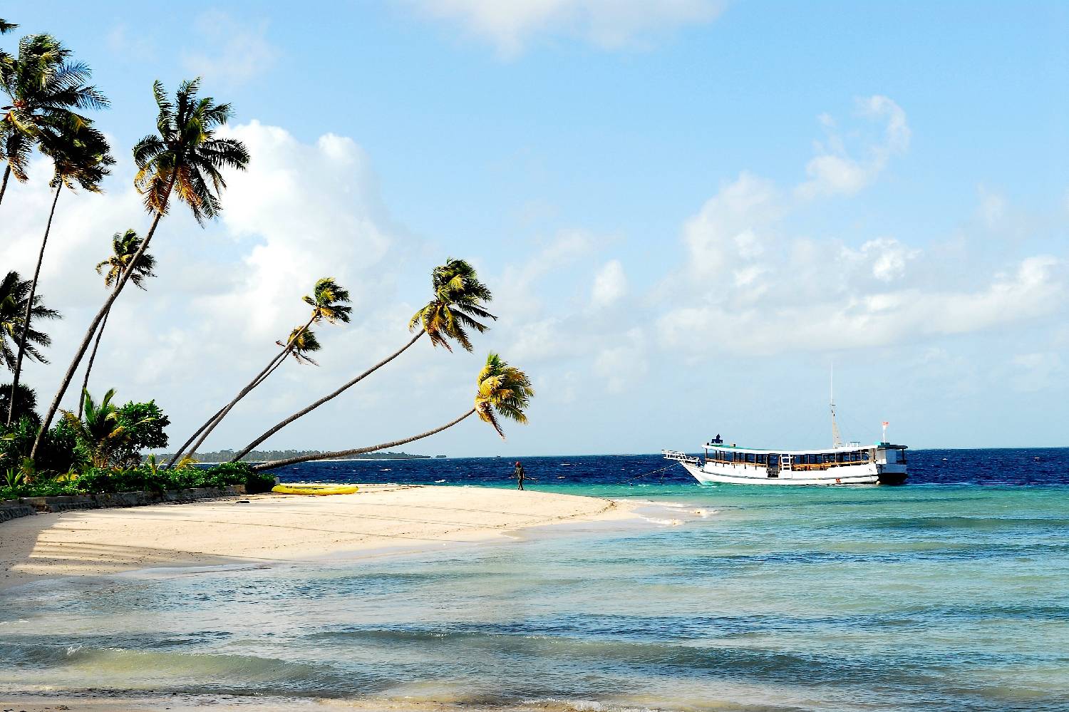 Private Chef in Wakatobi Regency Private Chef in Wakatobi Regency header
