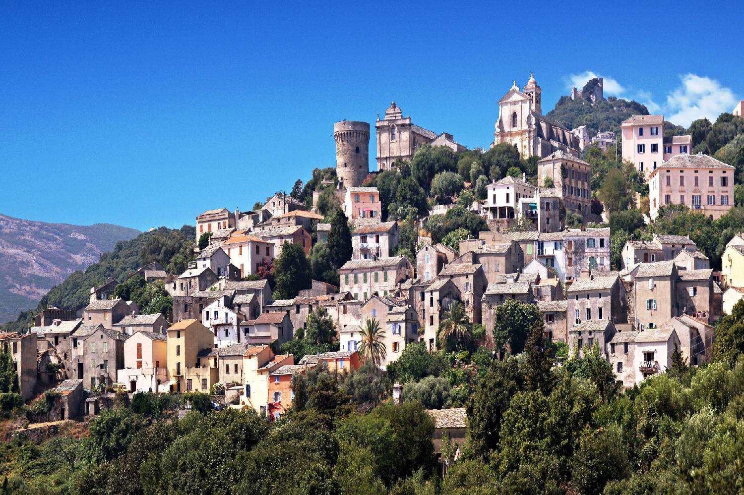 Private Chef in Provincia di Cosenza Private Chef in Provincia di Cosenza header
