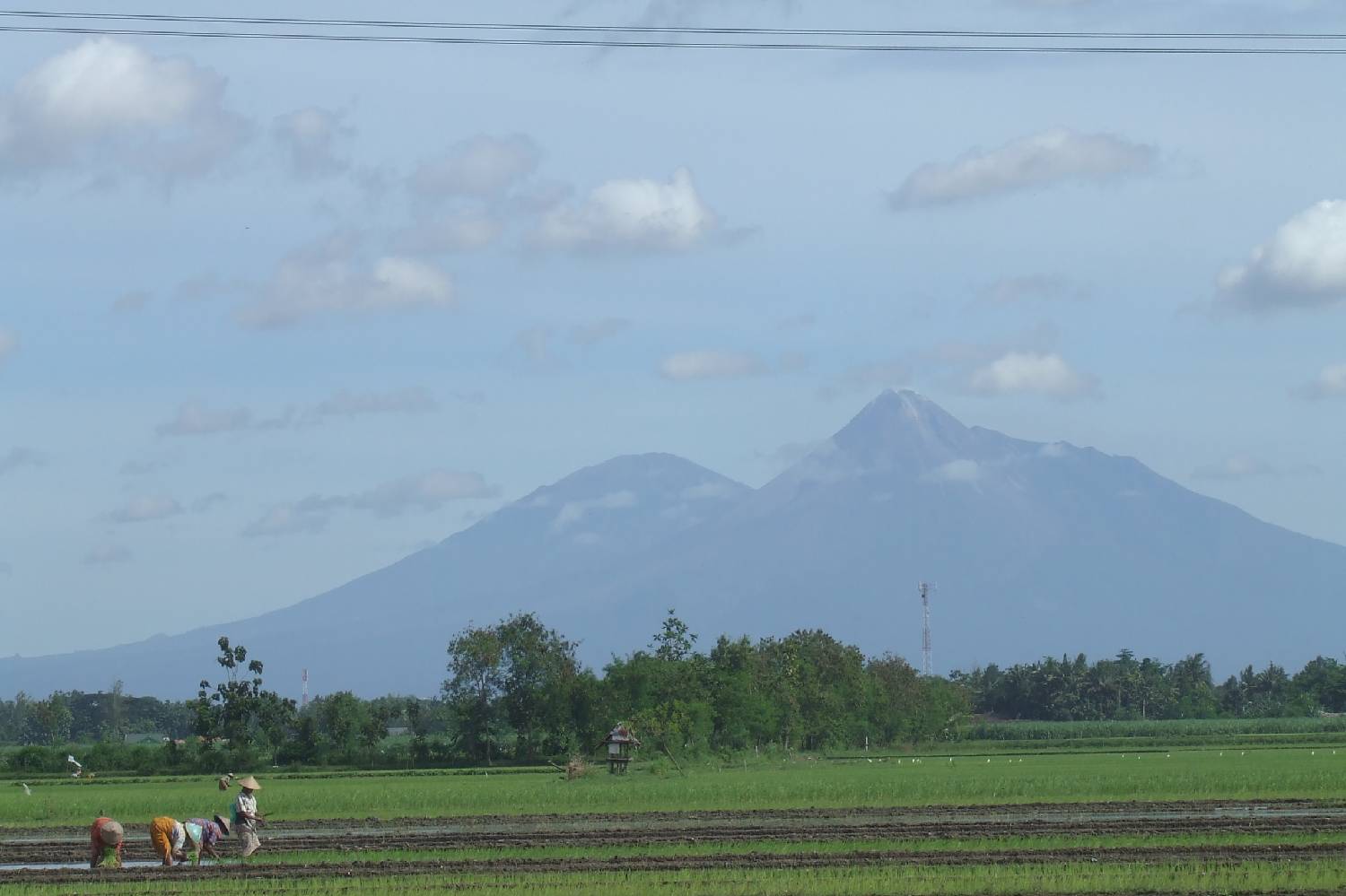 Private Chef in Tegal Private Chef in Tegal header
