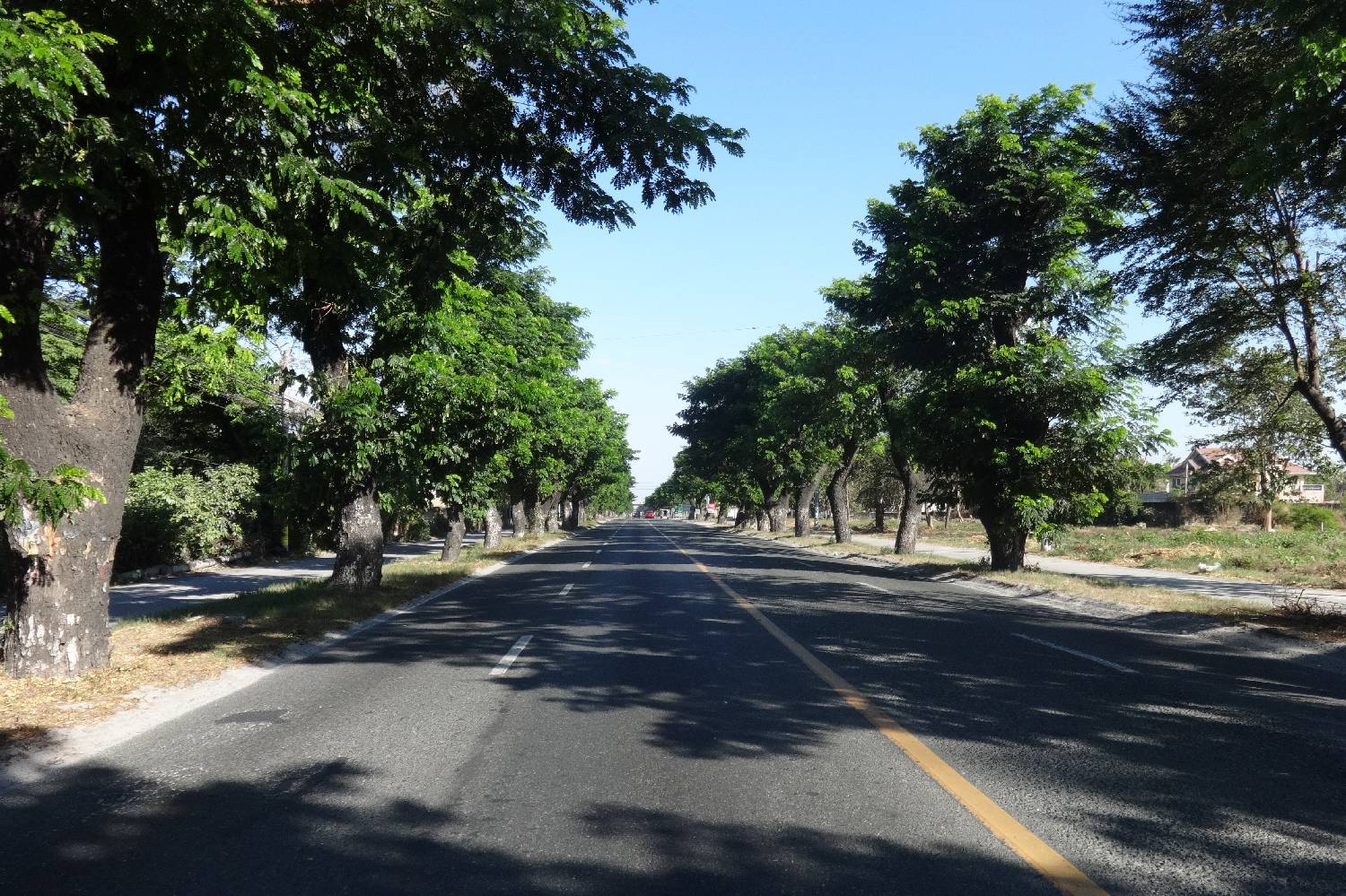Private Chef in Tarlac City Private Chef in Tarlac City header