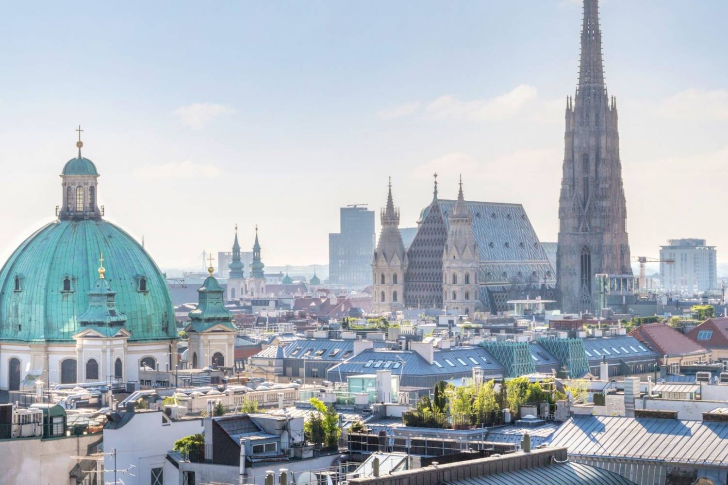 Geweldig uitzicht op de stad Viena Geweldig uitzicht op de stad Viena - Take a Chef