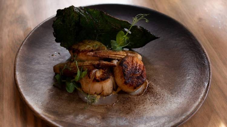 An outstanding dish cooked by Private Chef in Laredo Dish cooked by a Private Chef in Laredo