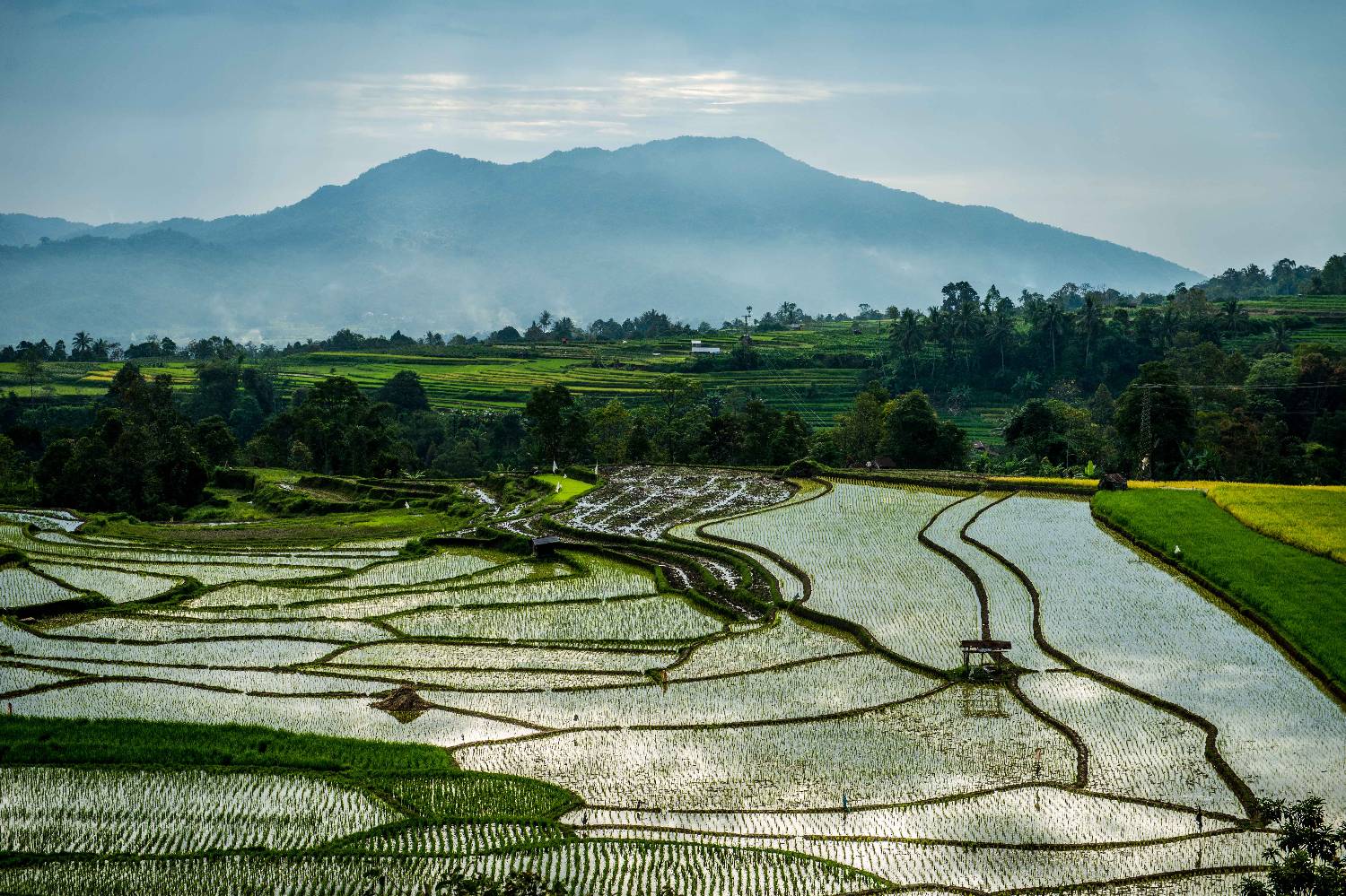 Private Chef in Kabupaten Tanah Datar Private Chef in Kabupaten Tanah Datar header
