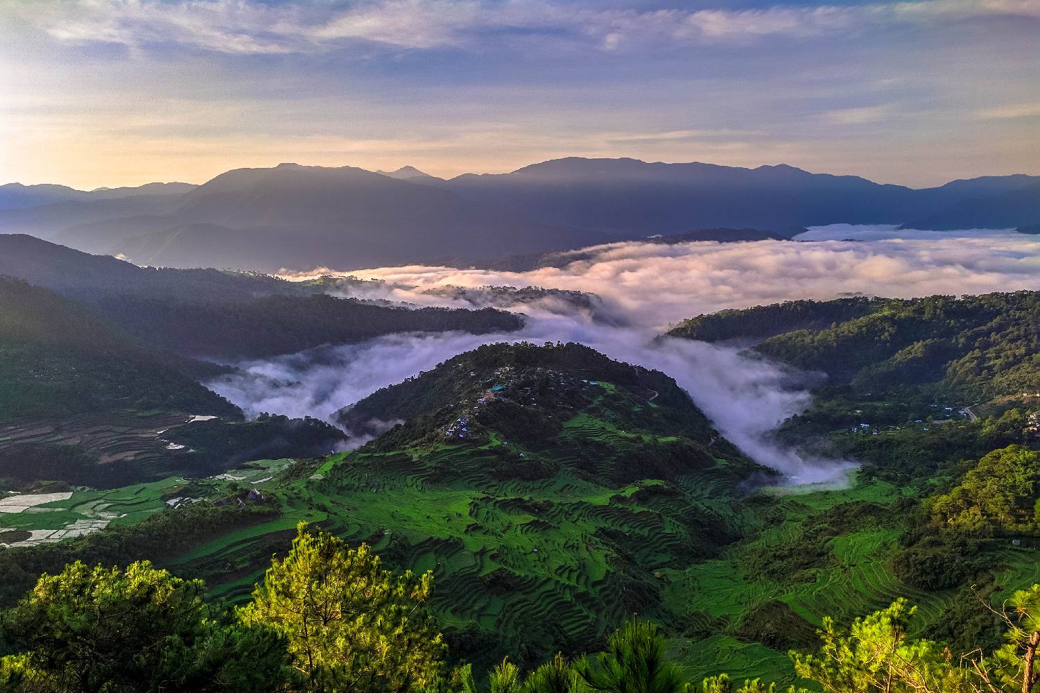 Private Chef in Province of Benguet Private Chef in Province of Benguet header