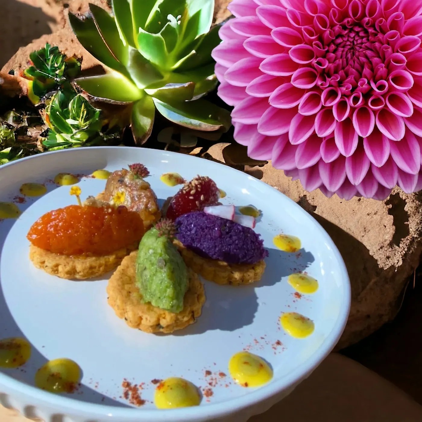 Image alt description