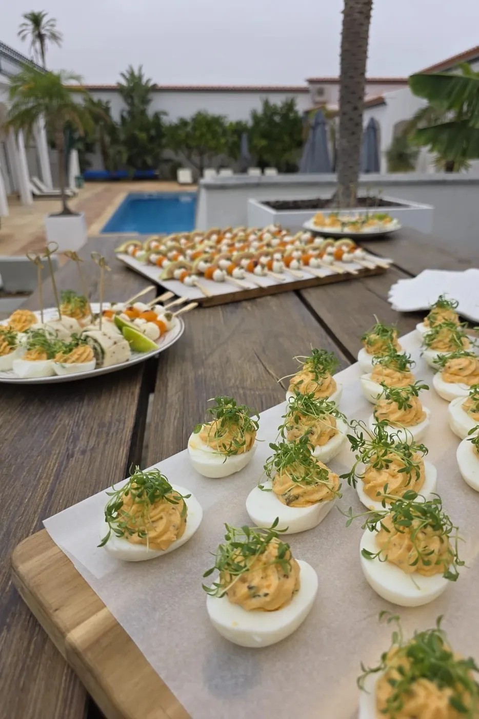 Image alt description