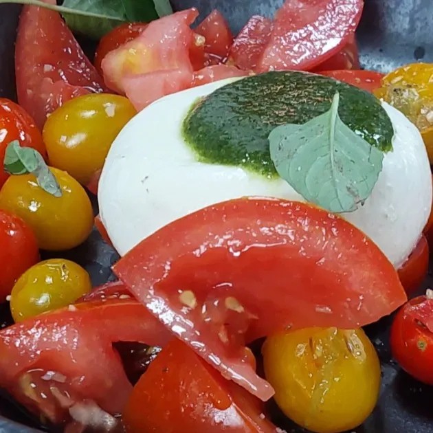 Image alt description