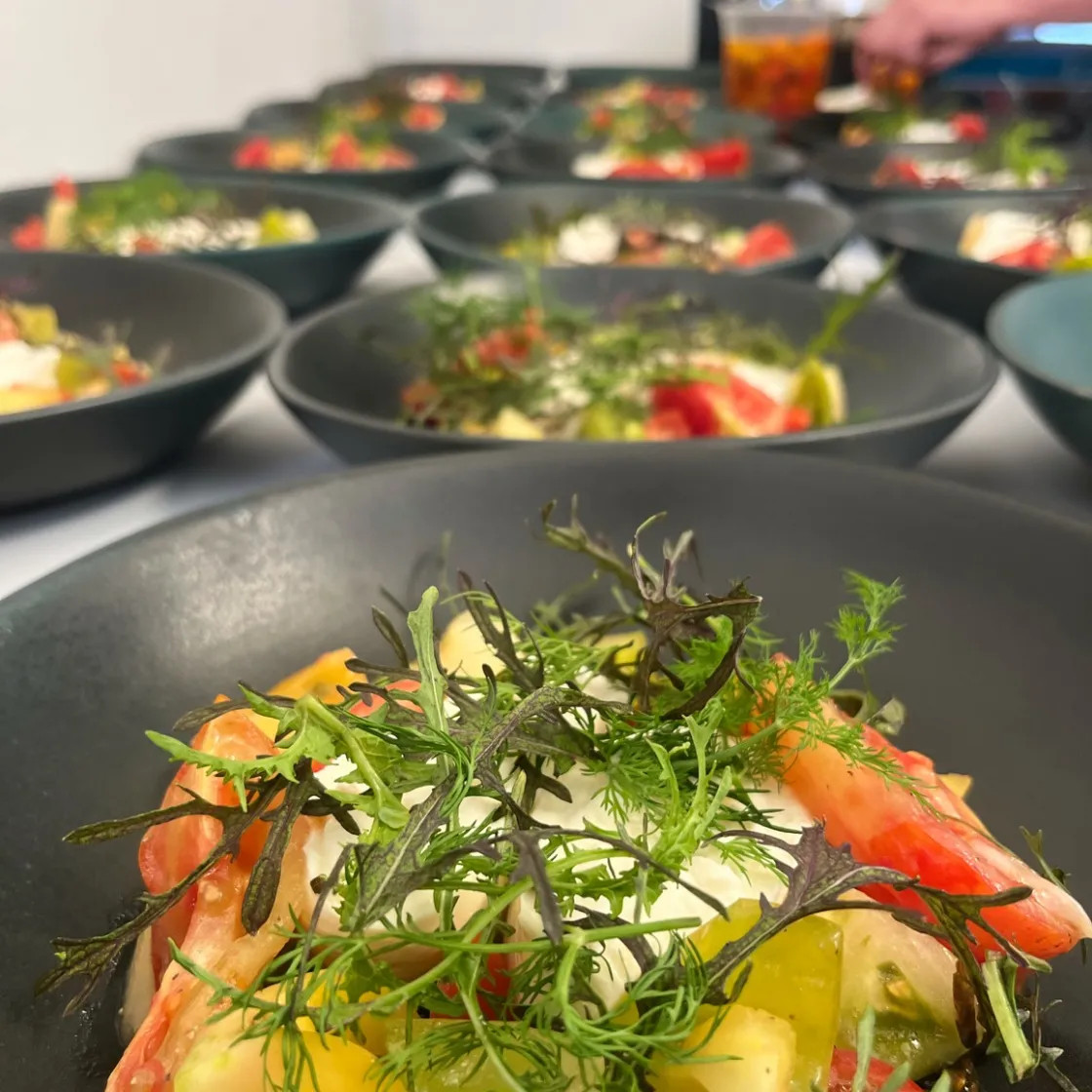 Image alt description