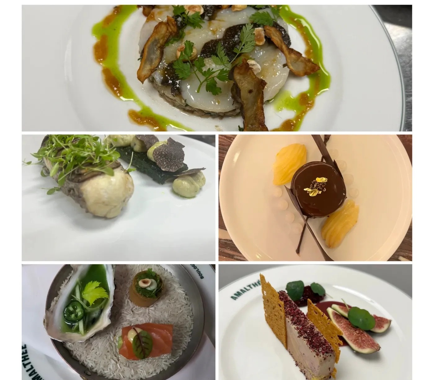 Image alt description